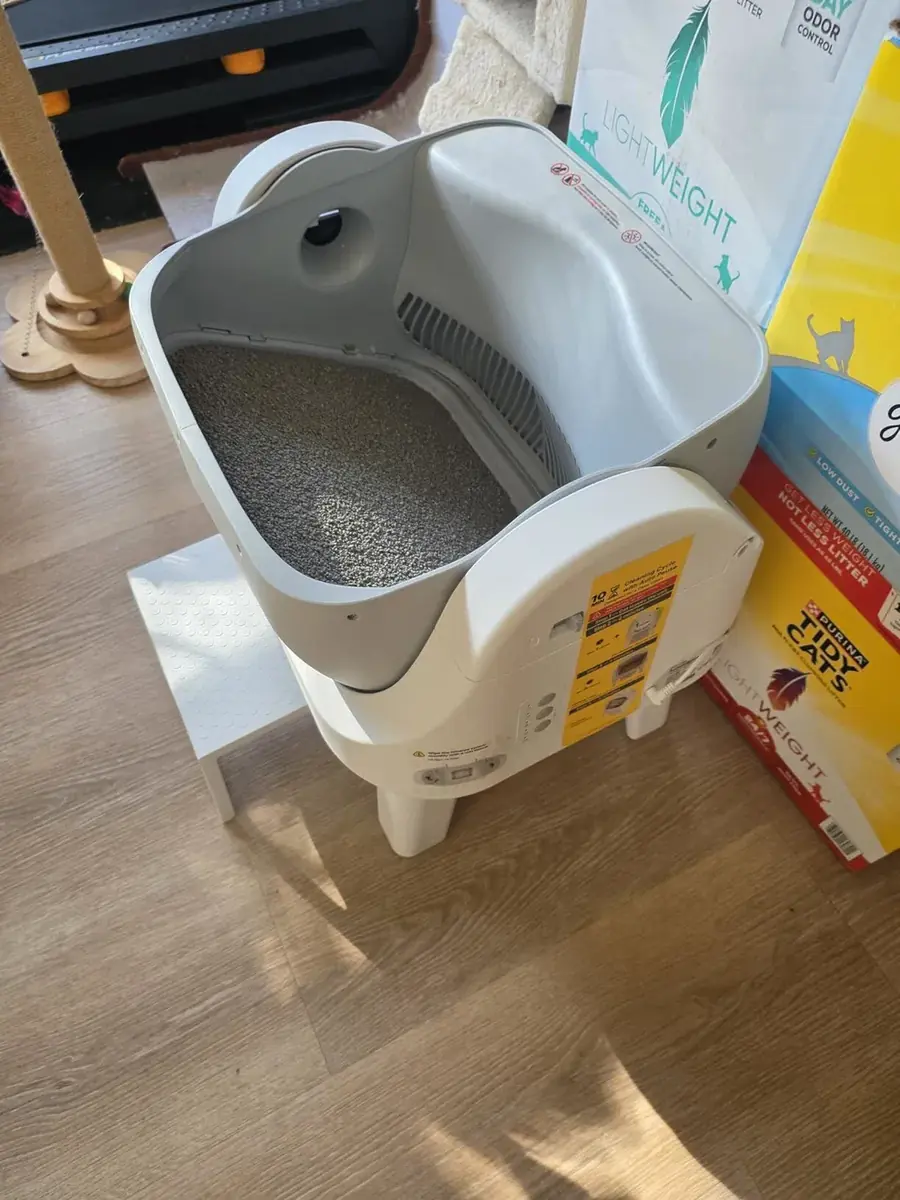 KittyScooper customer photo 9